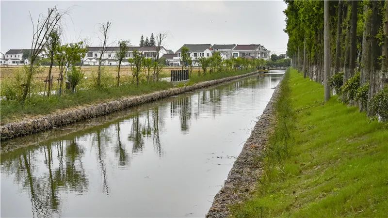 张家港最美河道出炉是你家门口的那条吗
