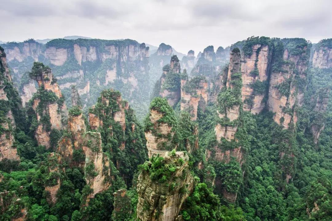 中国第一个国家森林公园被称为世界最美的空中花园还有多项世界之