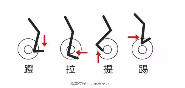 动感单车的作用是什么减肥还是增肌适合家用吗