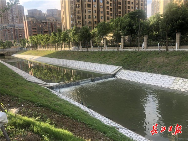变身景观渠!塔子湖明渠整治预计2020年完工