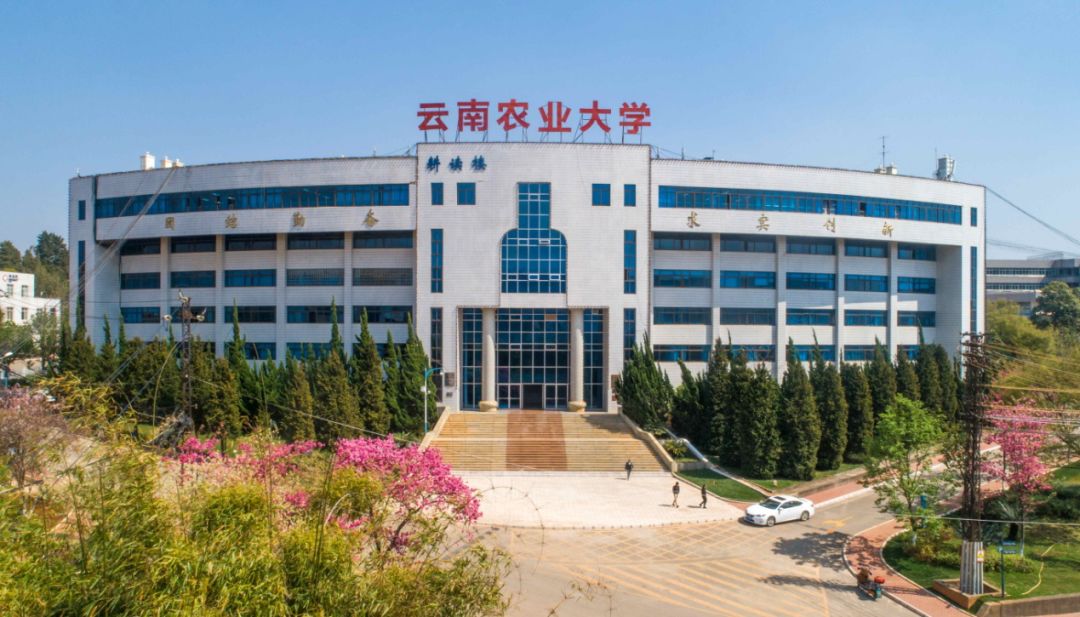 云南农业大学校区图片