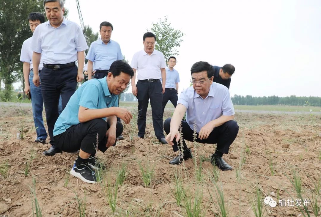 榆社县县委书记张英杰,县委副书记,县长韩军,县委副书记,统战部长高杰