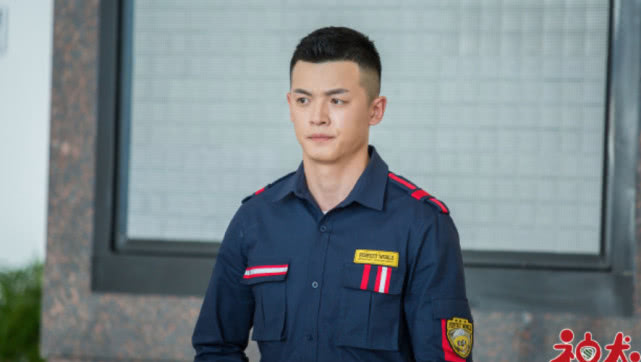 神犬小七3终于开播有机智和勇敢更有团结和配合