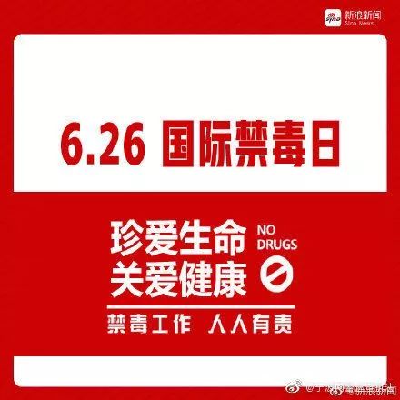 国际禁毒日对毒品sayno