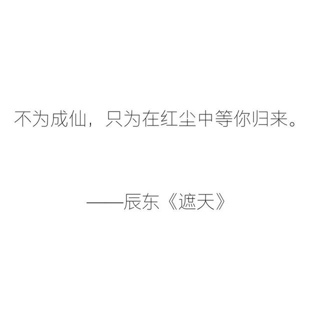 风华绝代的柳神,独断万古的小石头,不为成仙只为在红尘中等你归来的