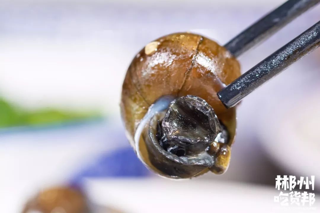 郴州这个边吃边瘦的"湘菜趴",竟藏在蒙古包里?_田螺