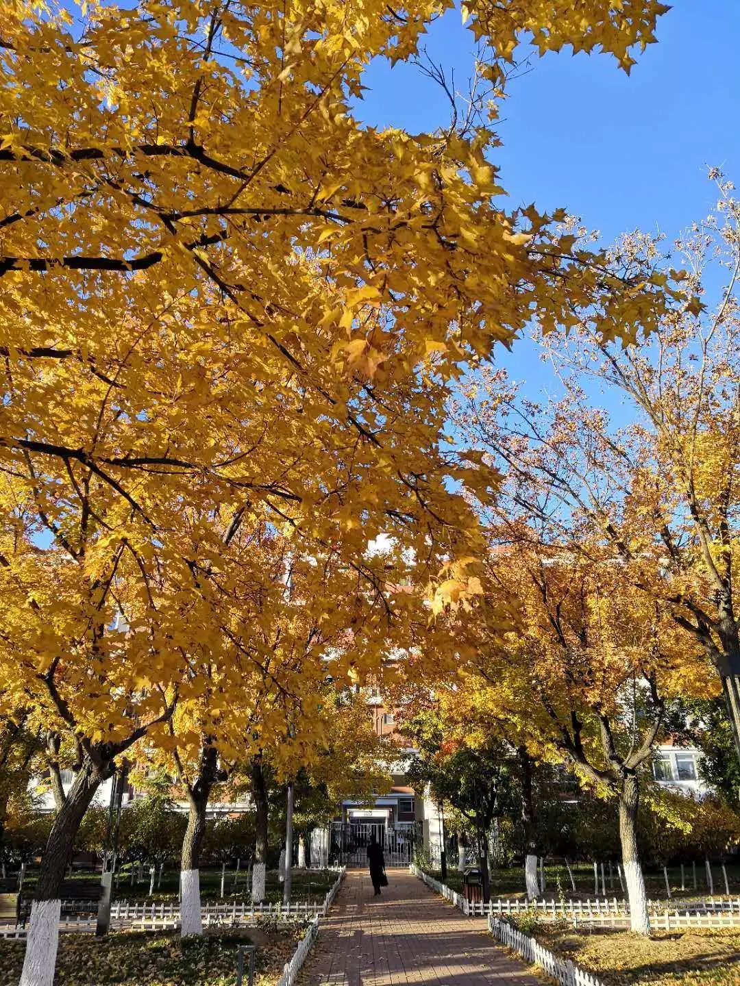 幫推丨中國社會科學院大學你期待的大學