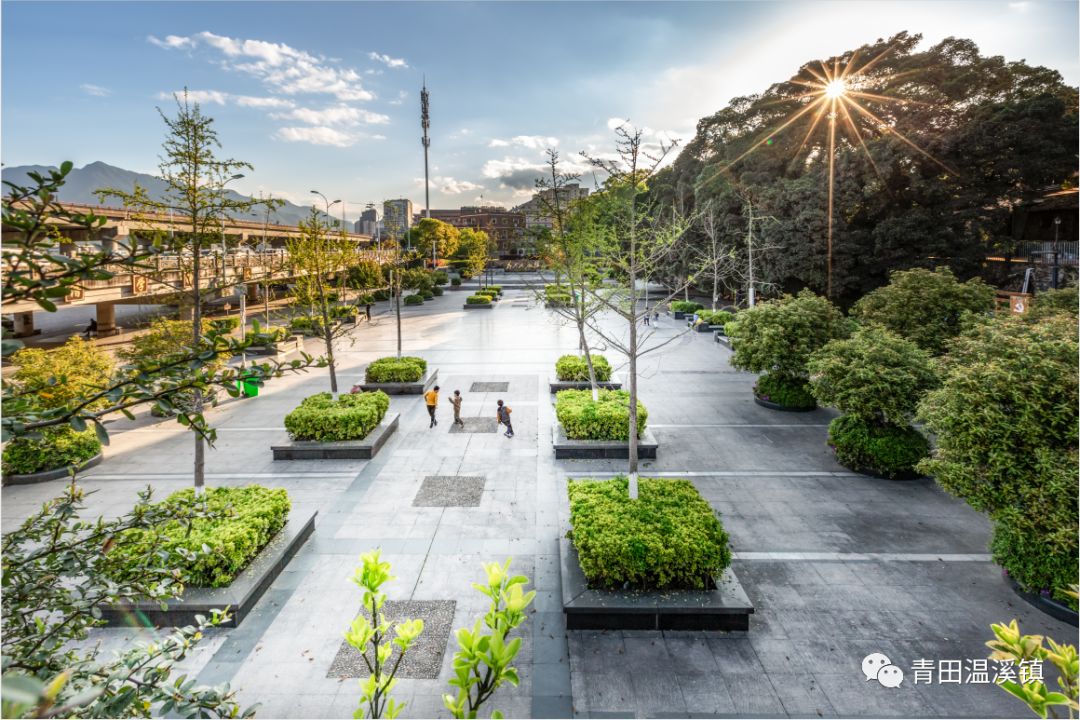 【奋斗以成 未来可期】温溪镇交出小城镇环境综合整治满意答卷