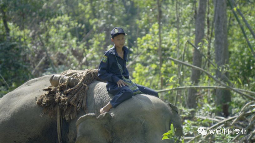 云南台奔赴《睦邻》缅甸的拍摄历程与心得