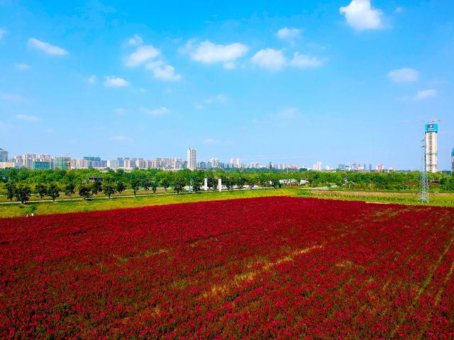 潁上花園小鎮風光.