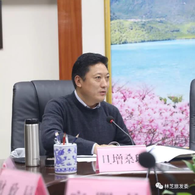 政府副秘书长卓玛出席会议林芝市副市长丁勇辉主持会议林芝市委副书记