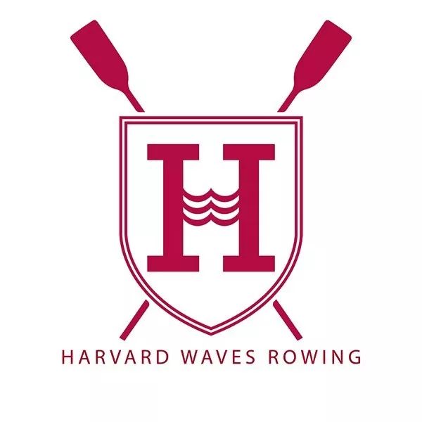 【哈佛赛艇队】日出日落 只为与你一起乘风破浪