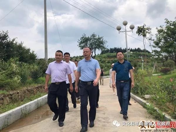 刘勇会到羊角塘镇督查指导工作_安化