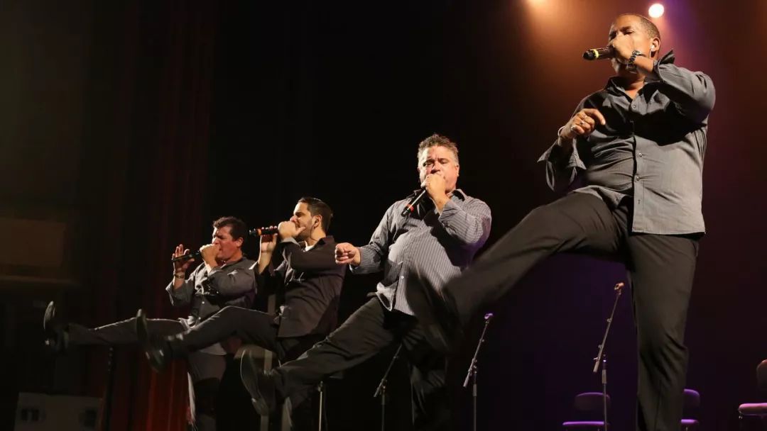 古巴的彩虹合唱团vocalsampling快把乐器商气哭了首发