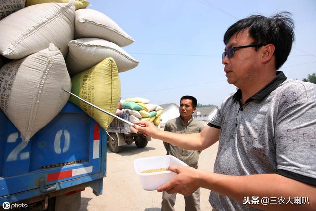你的小麦卖了吗?价格行情有跌有涨!今天小麦多少钱一斤?