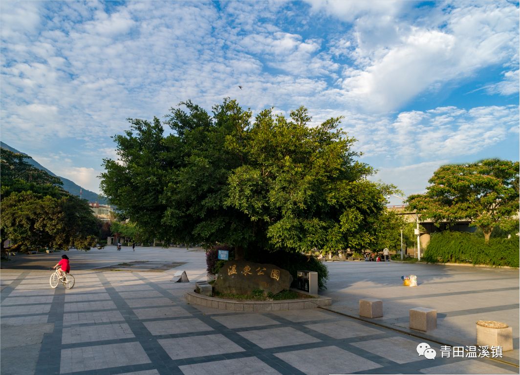 奋斗以成未来可期温溪镇交出小城镇环境综合整治满意答卷