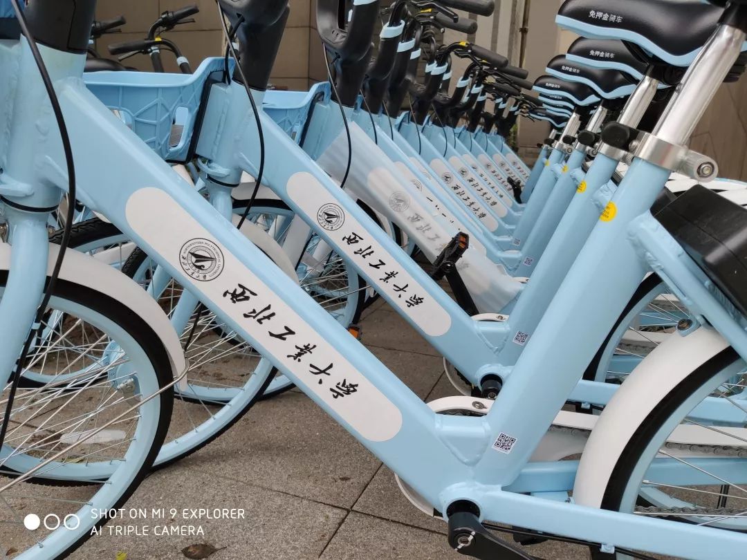 终于等到你西工大定制版校园共享单车来啦