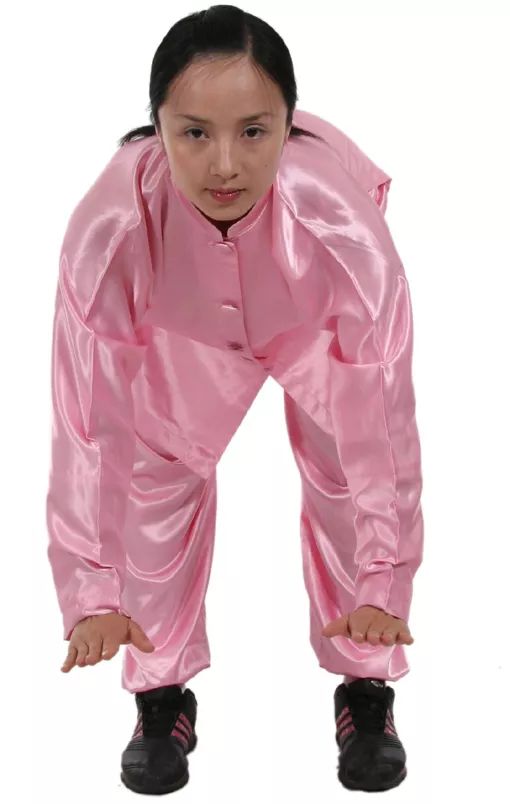 健身气功61马王堆导引术"鸟伸"的学与练