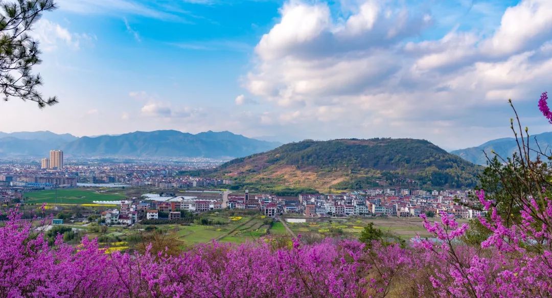 东阳市巍山镇图片