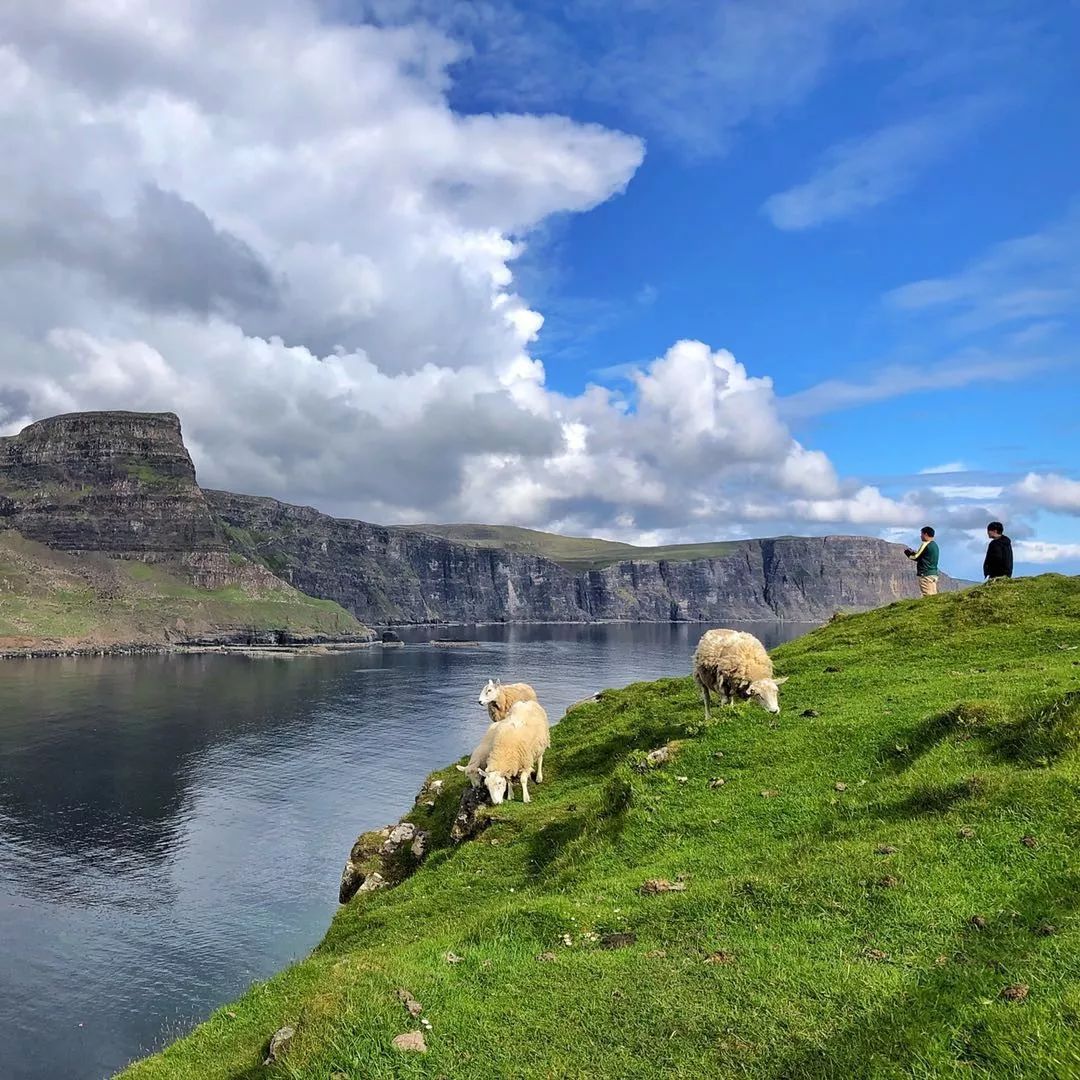 英国留学2020qs涨涨跌跌为何今年出了这么多黑马深度解析