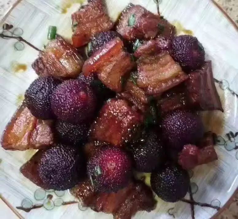÷÷Щ÷صĳԷھ˵Ȧ