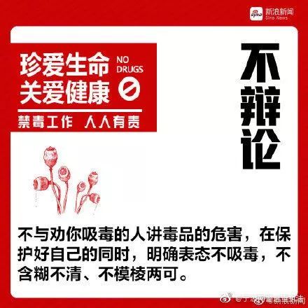 国际禁毒日对毒品sayno