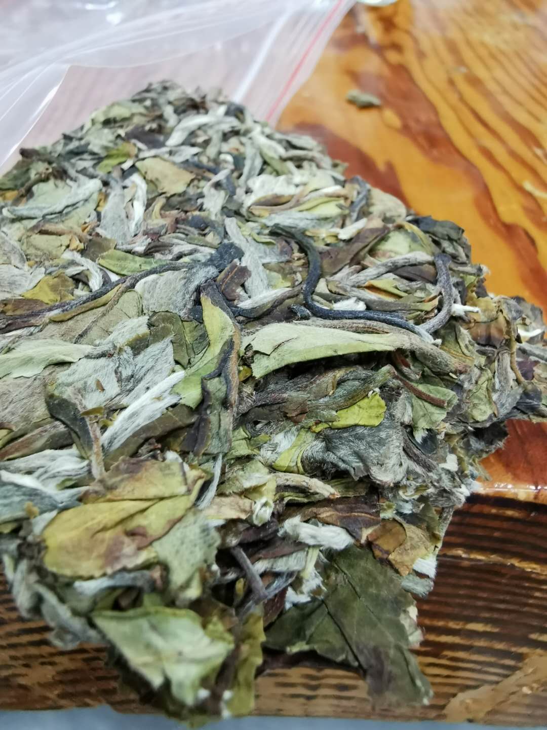 云南古树白茶历经沧桑弥足珍贵