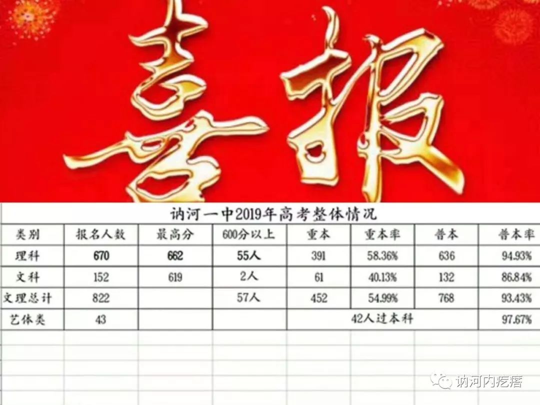 讷河一中2019年高考整体情况
