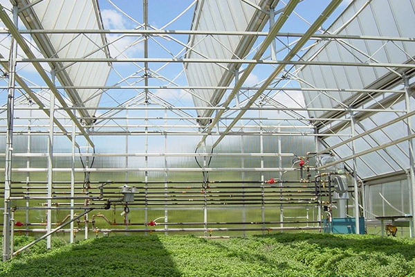 监测的温室智能大棚 图片来自网络伴随着5g,ai,vr等技术的发展和农业