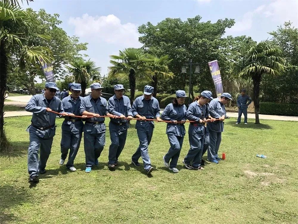 每队拿到拼图图块与路线图,在沙家浜红色拓展基地的芦花村,横泾老街