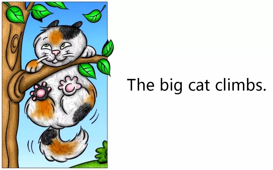 大猫在吃食物.the big cat eats.the big cat hides.大猫在玩游戏.