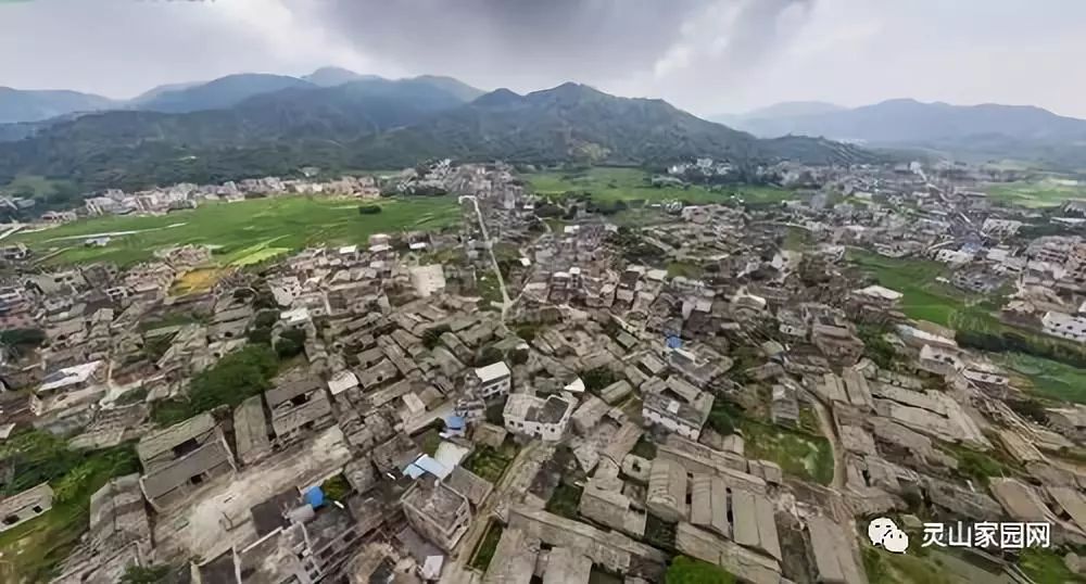 此組圖,視頻均由融媒體記者 藍業光 攝 漂塘村位於廣西靈山縣新圩鎮南