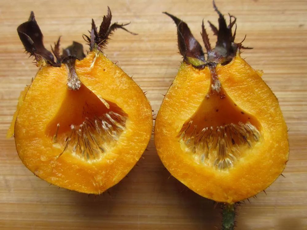 华夏沃土严威小小金刺梨成就致富梦