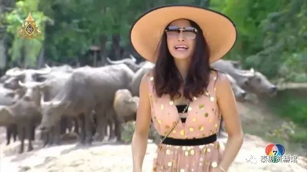 泰国娱乐stephany被批评与weirsukollawat不搭配从ig逃离