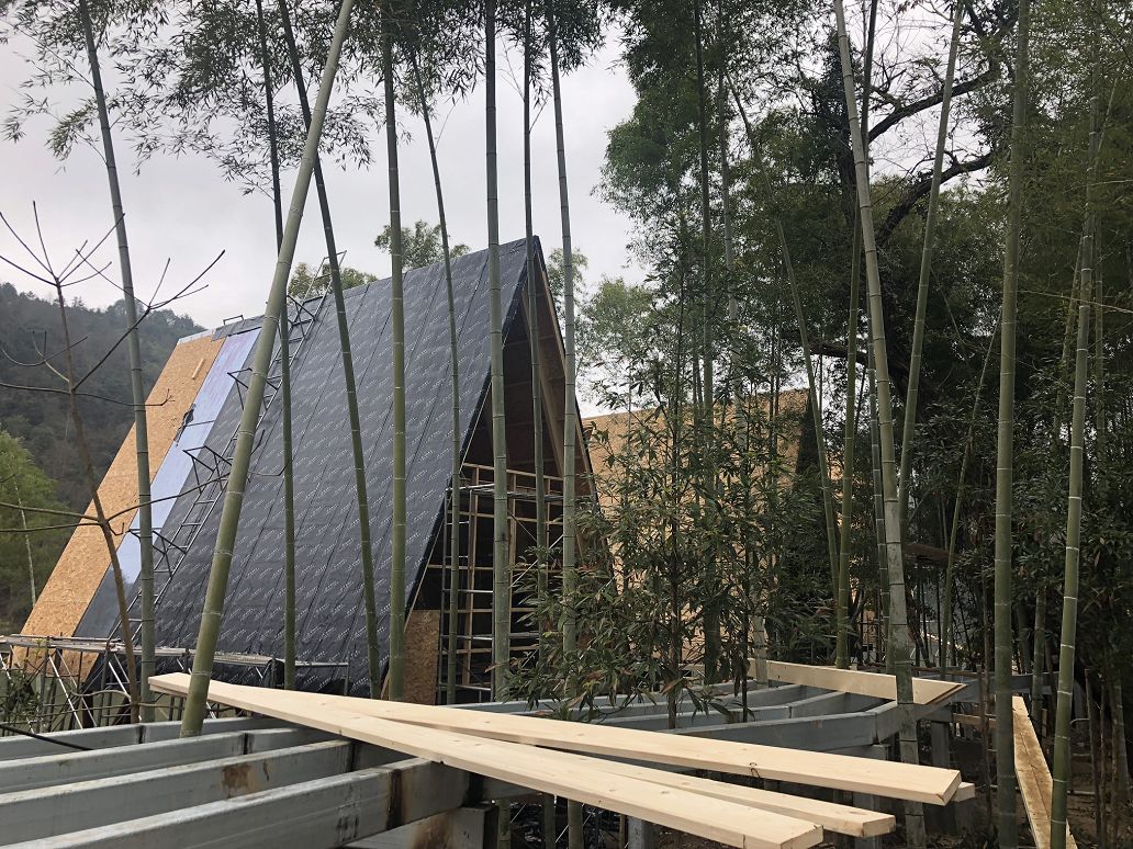 上旅集团婺源树蛙部落6月25日开启乡村振兴发展的种子模式婺源网红新