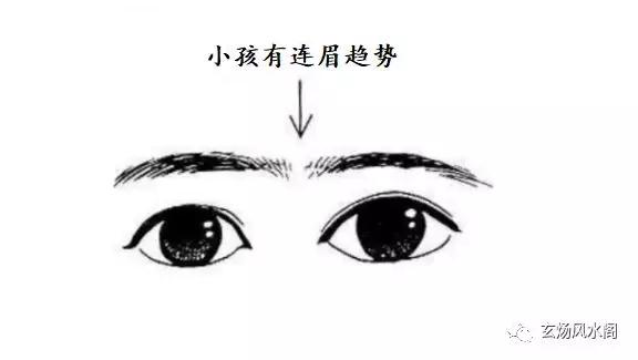 姜群：“六害眉心亲义绝”，六种不利运势的眉相图解_连眉