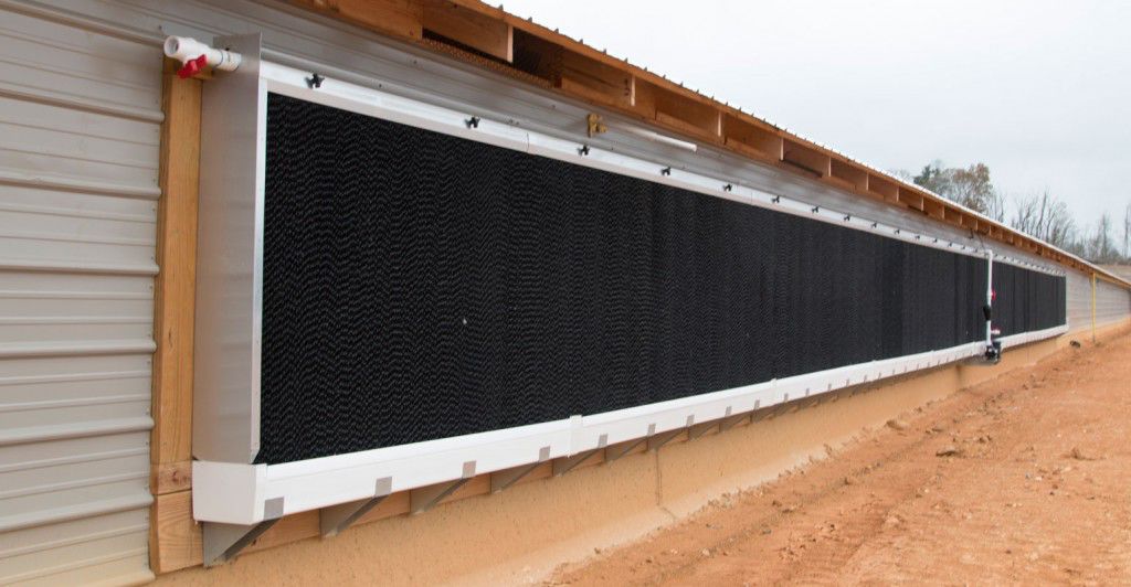 为什么黑色比白色吸热