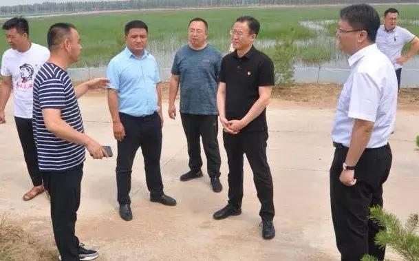 丁国栋赴云州区吉家庄乡调研双争双兴工程