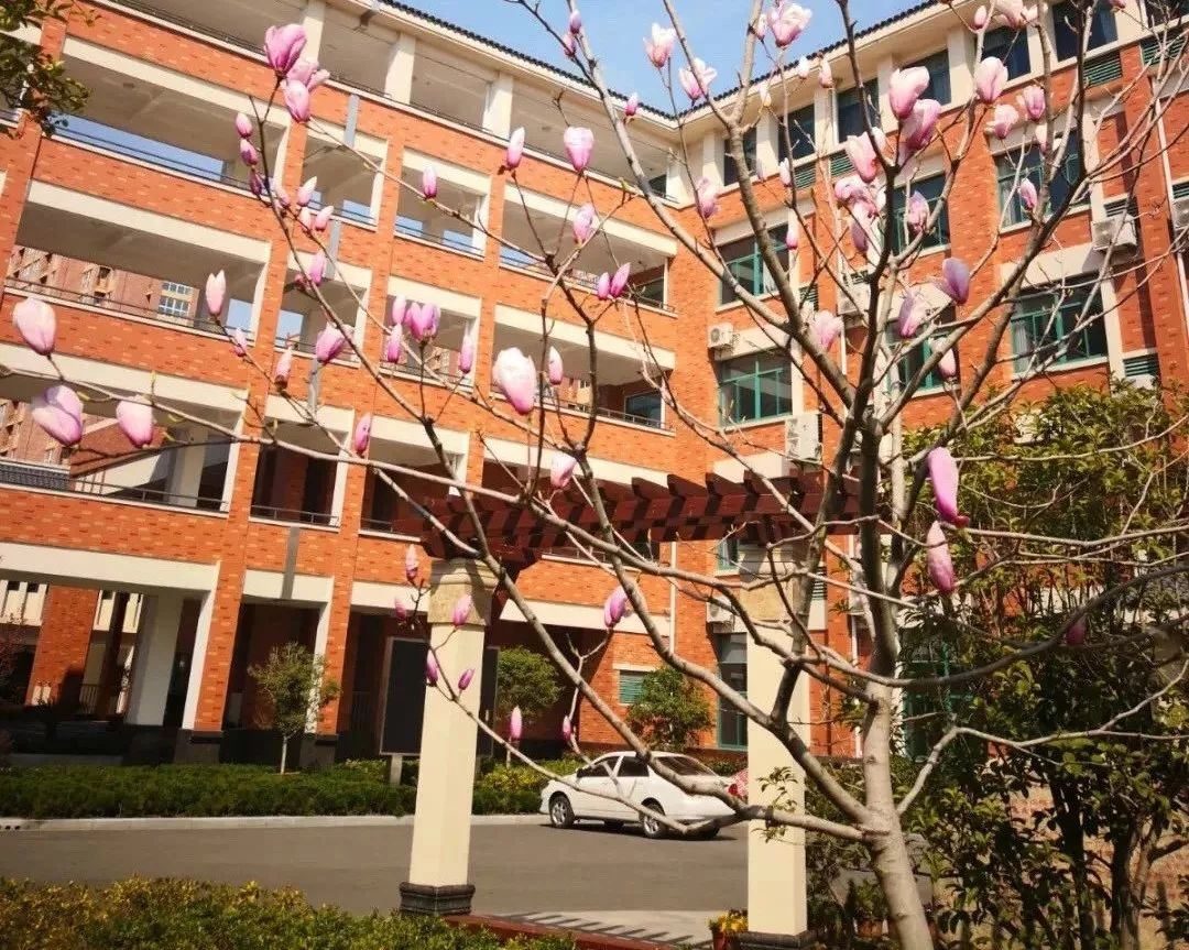 实小东海校区快讯缤纷夏日快乐暑假海门市第一实验小学20182019学年度