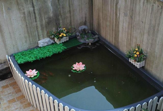 老公在阳台晒改鱼池,朋友参观后也说要这样做,晒晒!