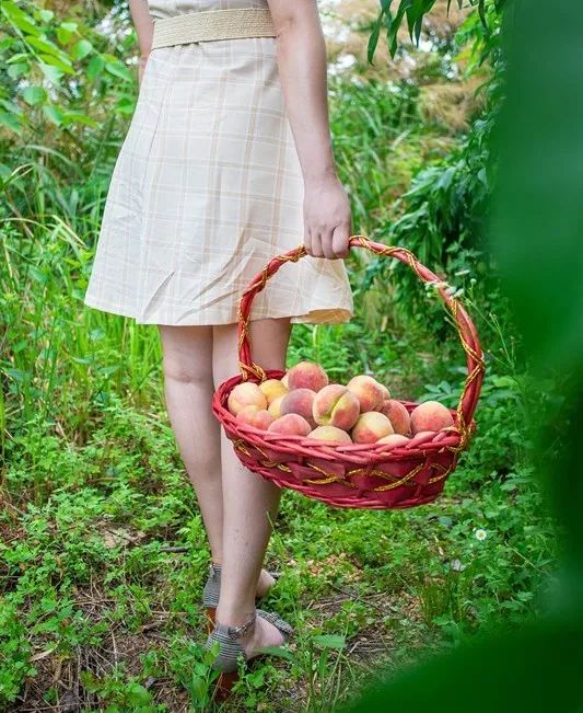 超劲爆大冶aaa级景区免费开放啦1000亩水蜜桃空中滑索骑马划船