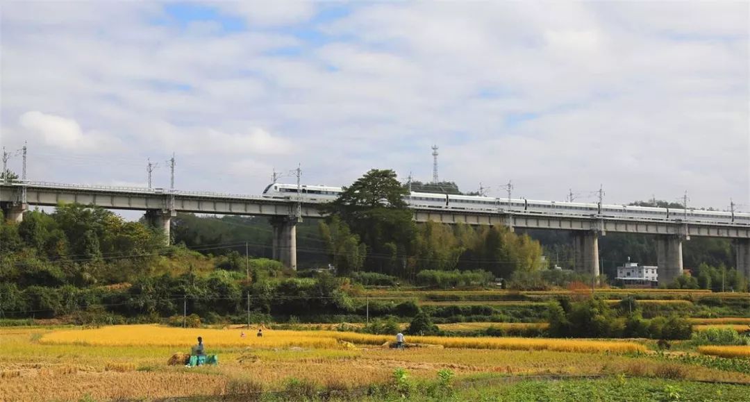 喜讯龙岩首条高铁双龙铁路龙岩段有望9月开工建设