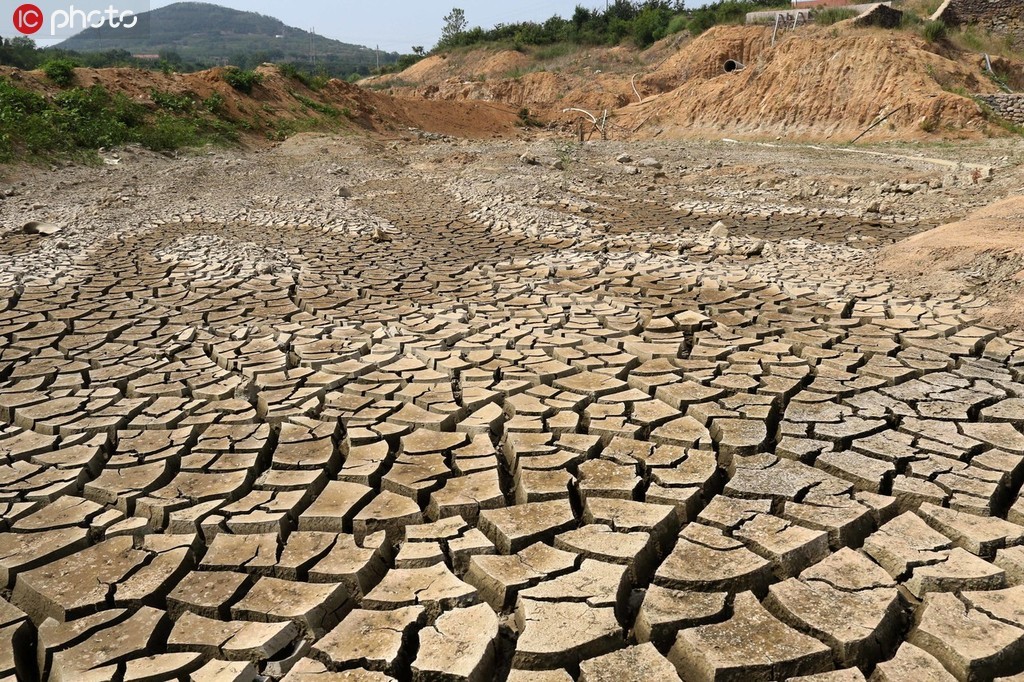 山東部分地區旱情嚴重 在田作物受旱面積達1743.5萬畝