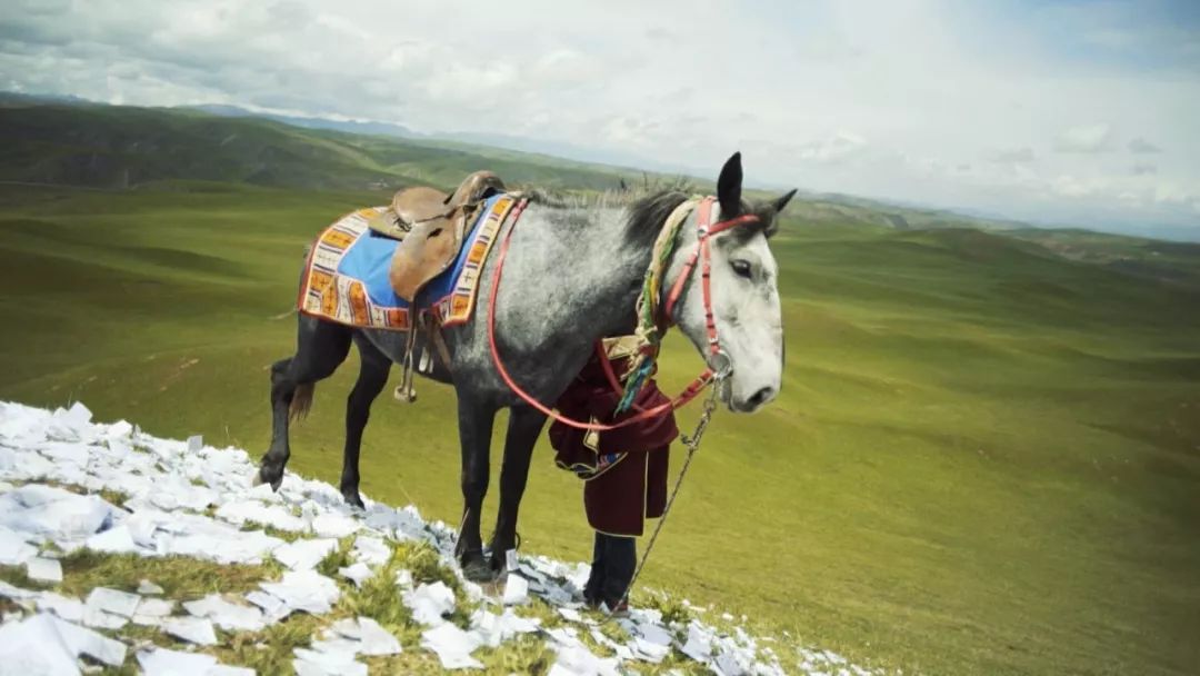 常存敬畏之心_风马