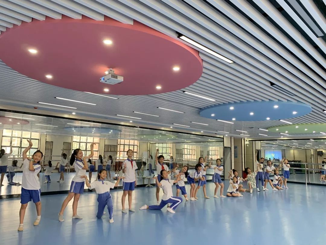 花开新时代舞动大龙华龙华中心小学舞蹈团包揽区赛四项大奖