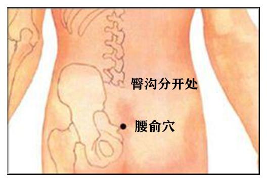 腰椎艾灸哪个位置图片图片