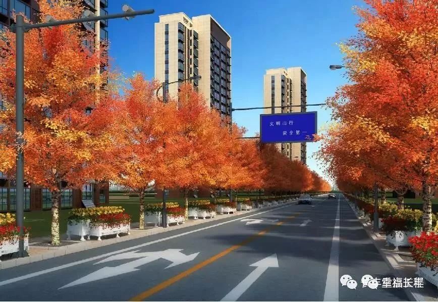 北城这条道路动工开建!