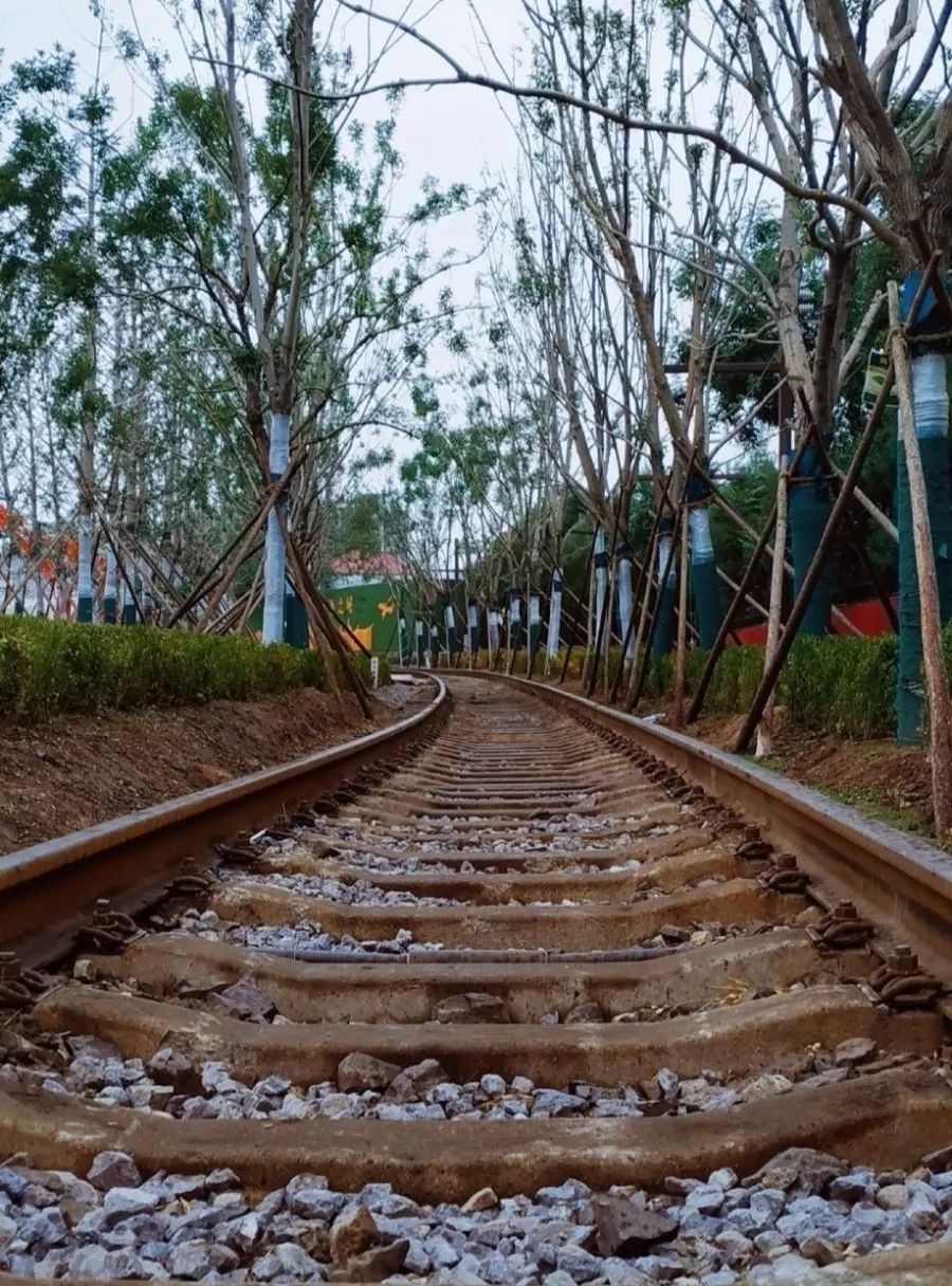 旧铁路成新景观你知道吗