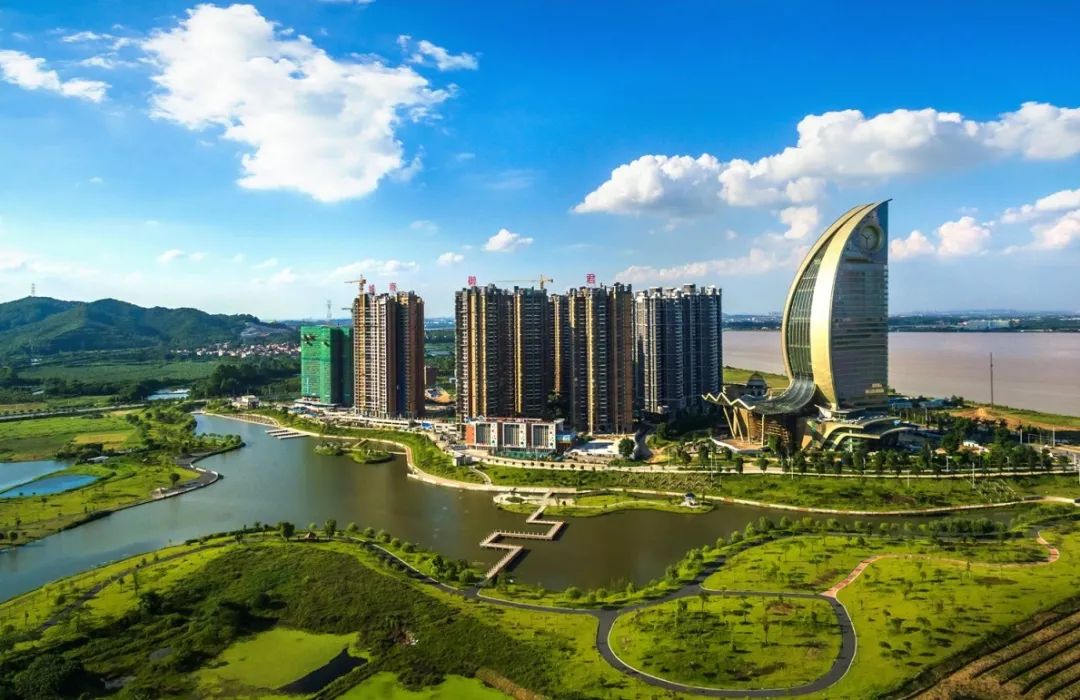 高明区反腐败协调常态化 互移线索65件