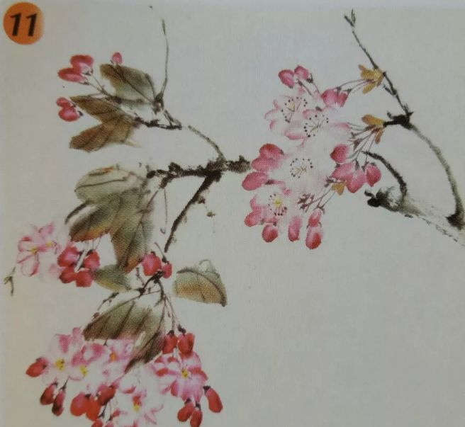 国画教程樱花的画法2